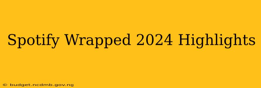 Spotify Wrapped 2024 Highlights