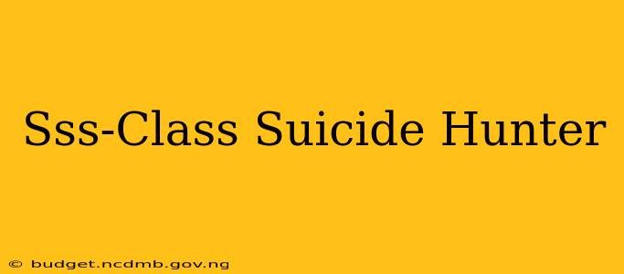Sss-Class Suicide Hunter