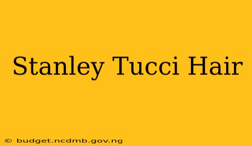 Stanley Tucci Hair