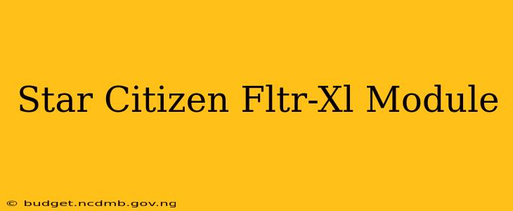Star Citizen Fltr-Xl Module
