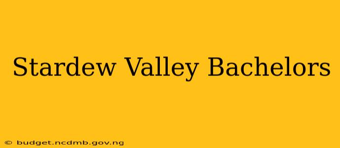 Stardew Valley Bachelors