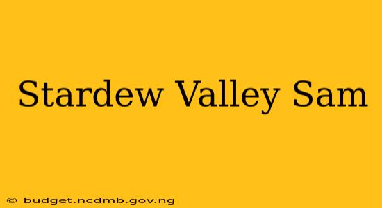 Stardew Valley Sam