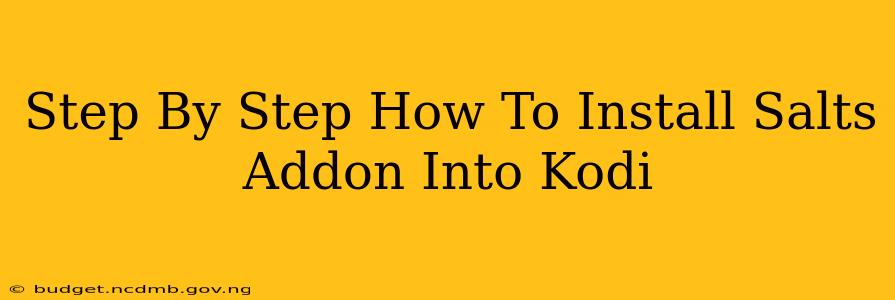 Step By Step How To Install Salts Addon Into Kodi