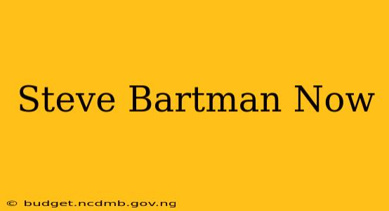 Steve Bartman Now
