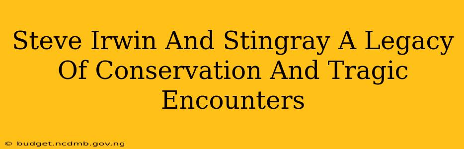 Steve Irwin And Stingray A Legacy Of Conservation And Tragic Encounters