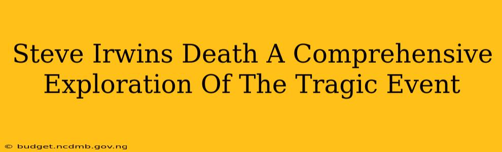 Steve Irwins Death A Comprehensive Exploration Of The Tragic Event