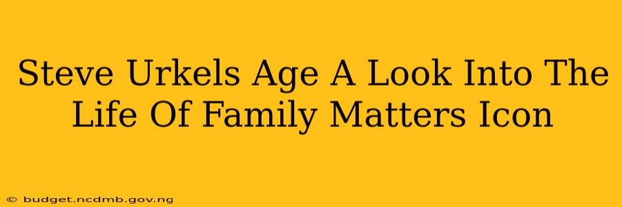 Steve Urkels Age A Look Into The Life Of Family Matters Icon