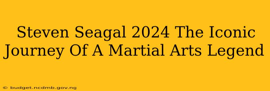 Steven Seagal 2024 The Iconic Journey Of A Martial Arts Legend