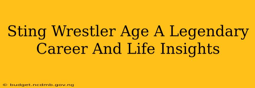 Sting Wrestler Age A Legendary Career And Life Insights