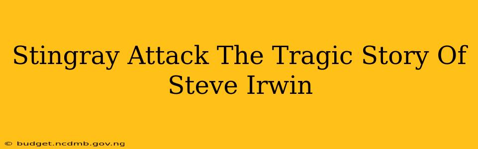 Stingray Attack The Tragic Story Of Steve Irwin