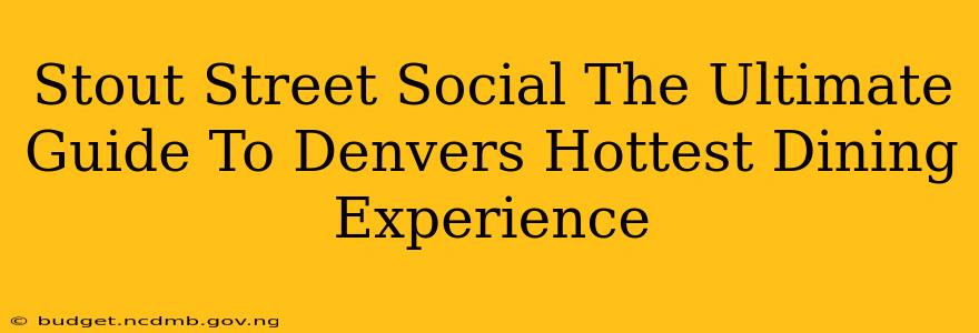Stout Street Social The Ultimate Guide To Denvers Hottest Dining Experience
