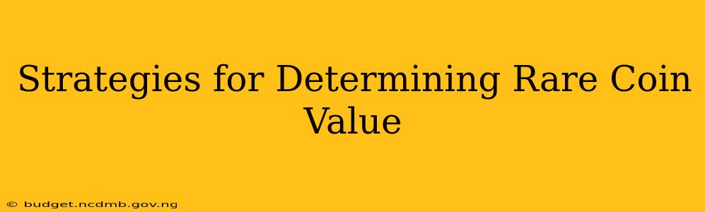 Strategies for Determining Rare Coin Value