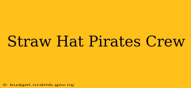Straw Hat Pirates Crew