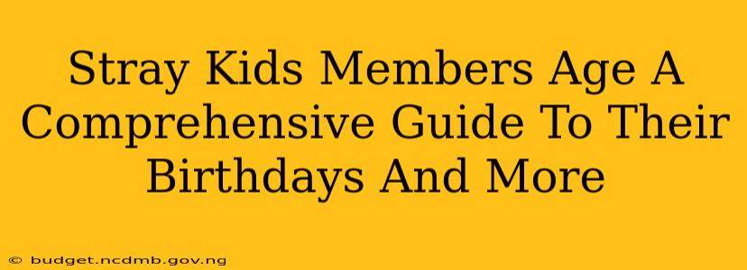 Stray Kids Members Age A Comprehensive Guide To Their Birthdays And More