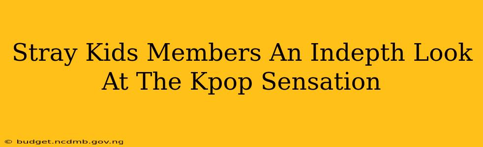 Stray Kids Members An Indepth Look At The Kpop Sensation