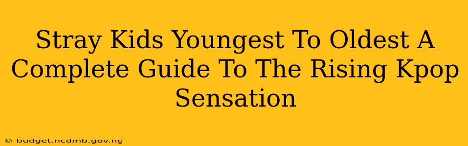 Stray Kids Youngest To Oldest A Complete Guide To The Rising Kpop Sensation