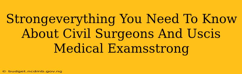 Strongeverything You Need To Know About Civil Surgeons And Uscis Medical Examsstrong