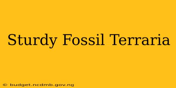 Sturdy Fossil Terraria