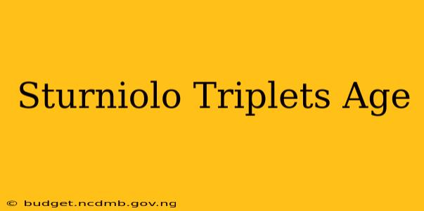 Sturniolo Triplets Age