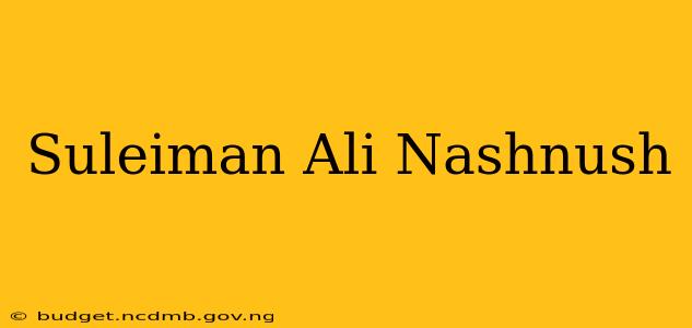 Suleiman Ali Nashnush