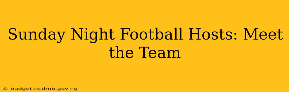 Sunday Night Football Hosts: Meet the Team