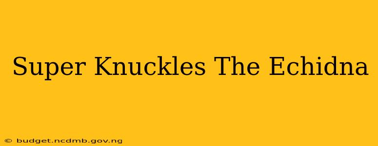 Super Knuckles The Echidna