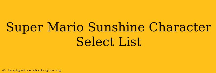 Super Mario Sunshine Character Select List