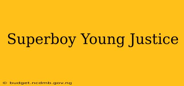 Superboy Young Justice