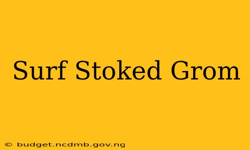 Surf Stoked Grom