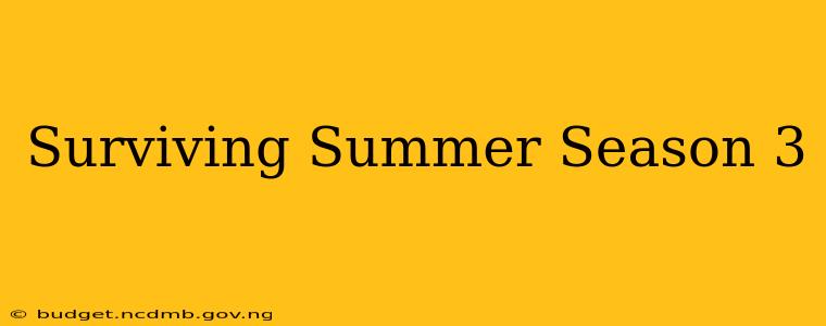Surviving Summer Season 3