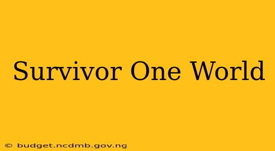 Survivor One World
