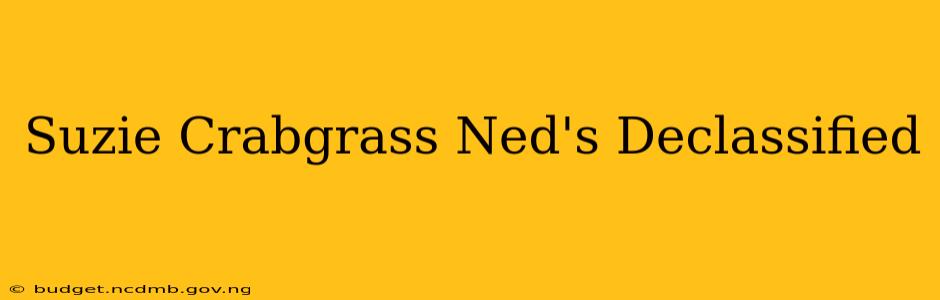 Suzie Crabgrass Ned's Declassified