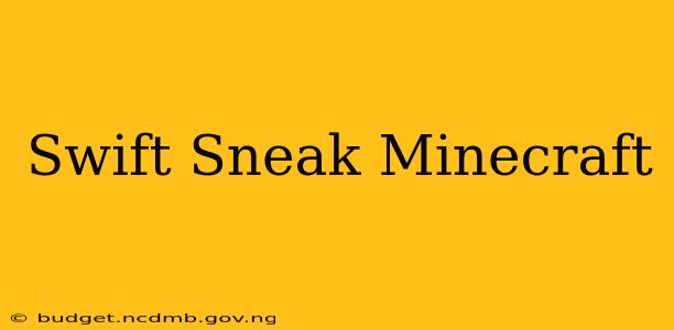 Swift Sneak Minecraft