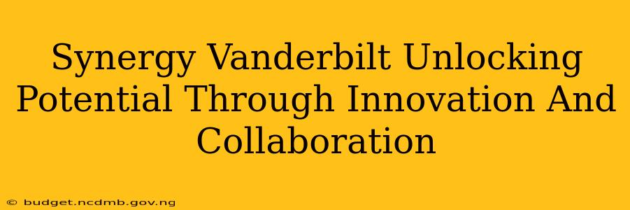 Synergy Vanderbilt Unlocking Potential Through Innovation And Collaboration