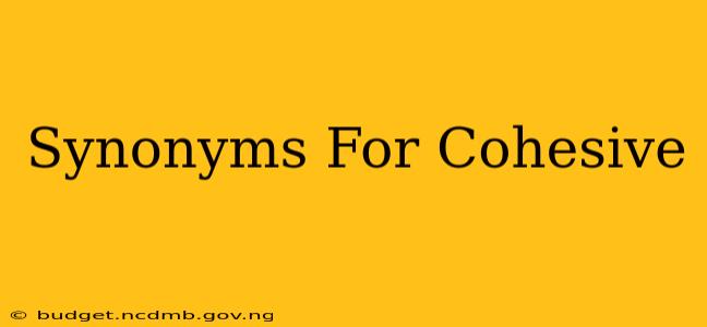 Synonyms For Cohesive