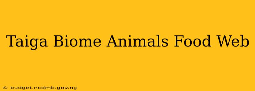 Taiga Biome Animals Food Web