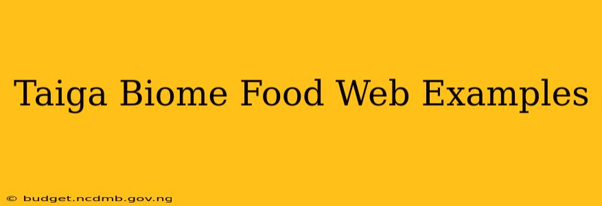 Taiga Biome Food Web Examples