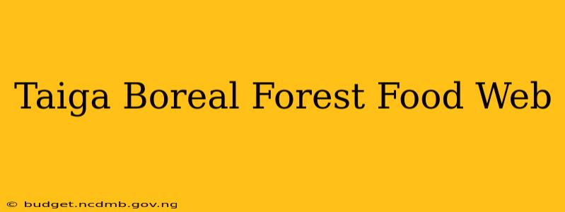 Taiga Boreal Forest Food Web