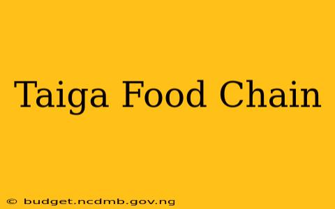 Taiga Food Chain
