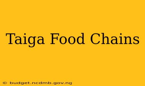 Taiga Food Chains
