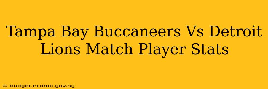 Tampa Bay Buccaneers Vs Detroit Lions Match Player Stats