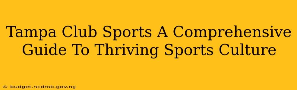 Tampa Club Sports A Comprehensive Guide To Thriving Sports Culture