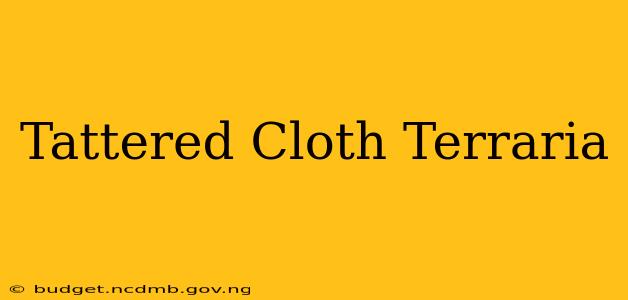 Tattered Cloth Terraria