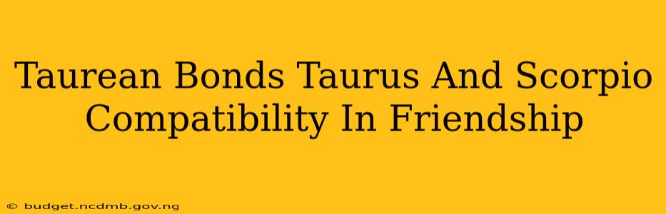 Taurean Bonds Taurus And Scorpio Compatibility In Friendship