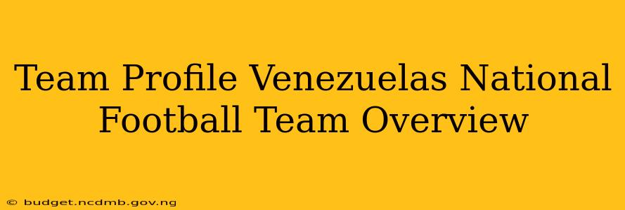 Team Profile Venezuelas National Football Team Overview