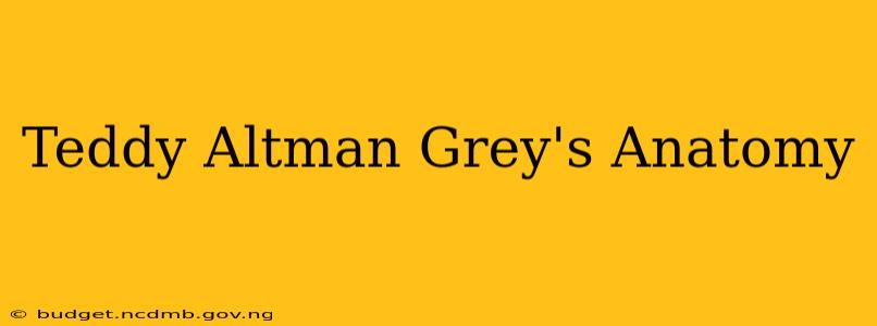 Teddy Altman Grey's Anatomy