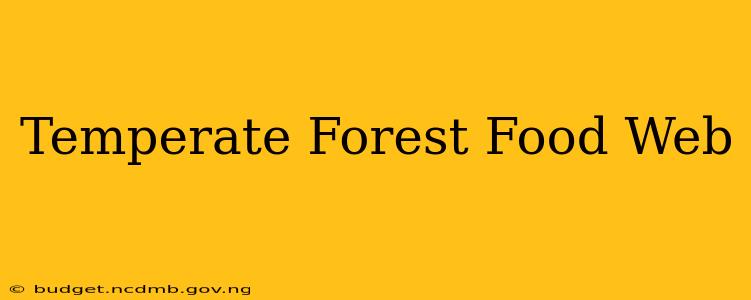 Temperate Forest Food Web