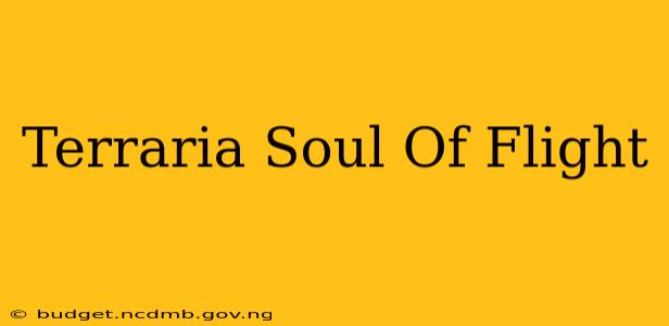Terraria Soul Of Flight