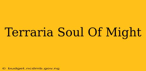 Terraria Soul Of Might