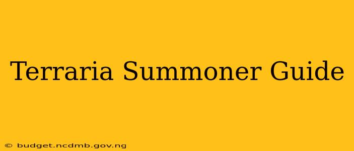 Terraria Summoner Guide